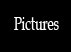 Go to Pictures page